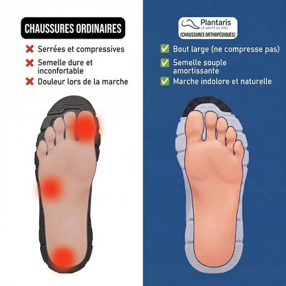 Vera — Basket Orthopédique PRO 2.0, Soutien Ergonomique